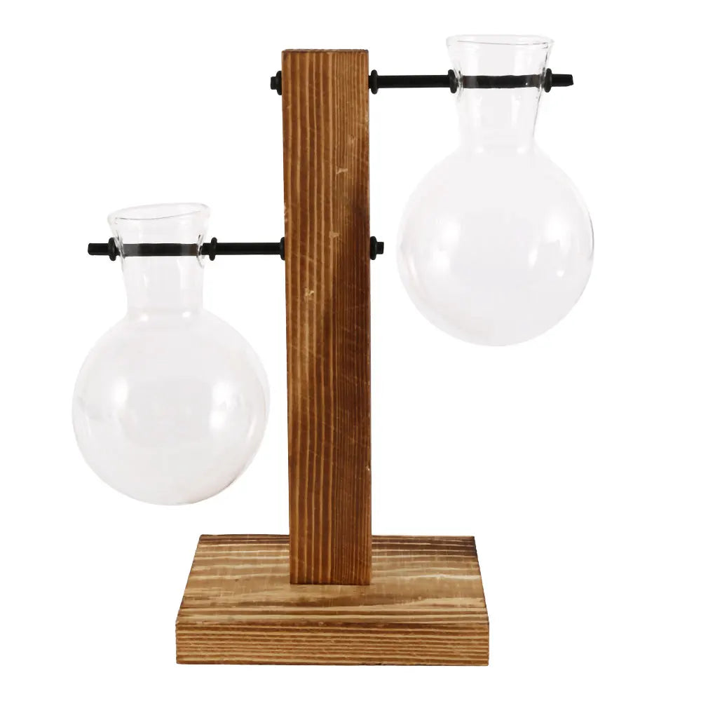 Charming Hydroponic Terrarium with Wooden Stand