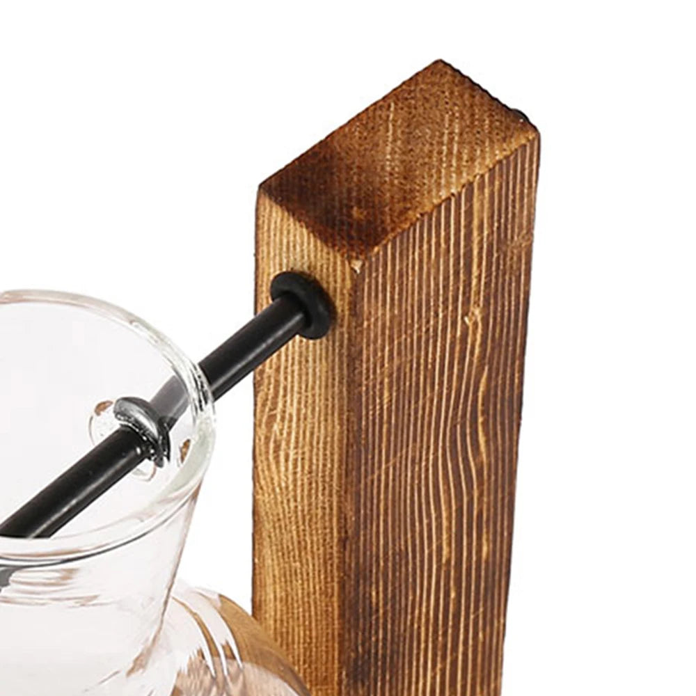 Charming Hydroponic Terrarium with Wooden Stand