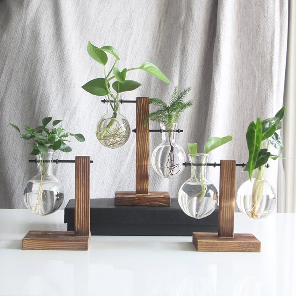 Charming Hydroponic Terrarium with Wooden Stand