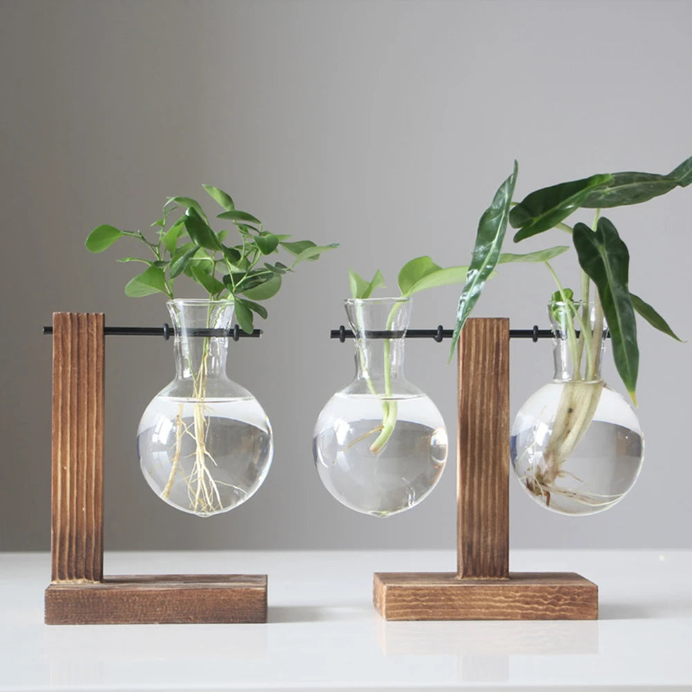Charming Hydroponic Terrarium with Wooden Stand