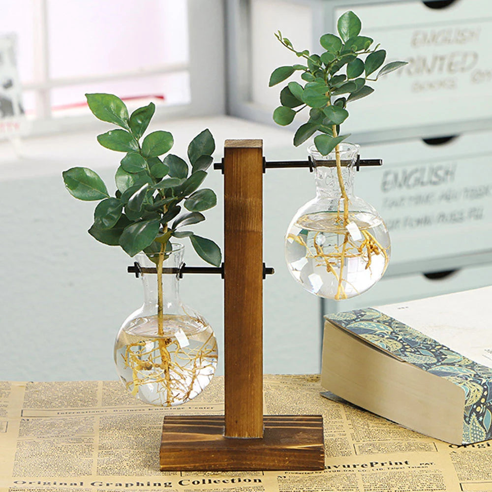 Charming Hydroponic Terrarium with Wooden Stand