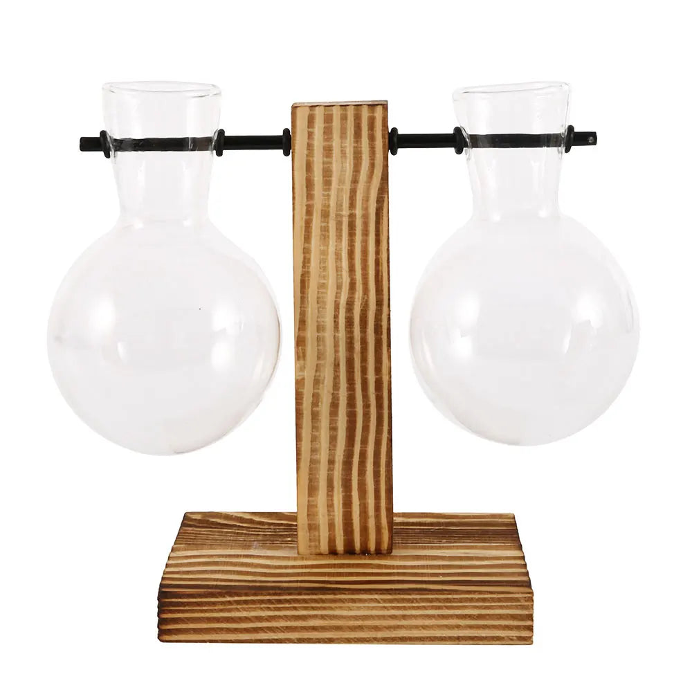 Charming Hydroponic Terrarium with Wooden Stand