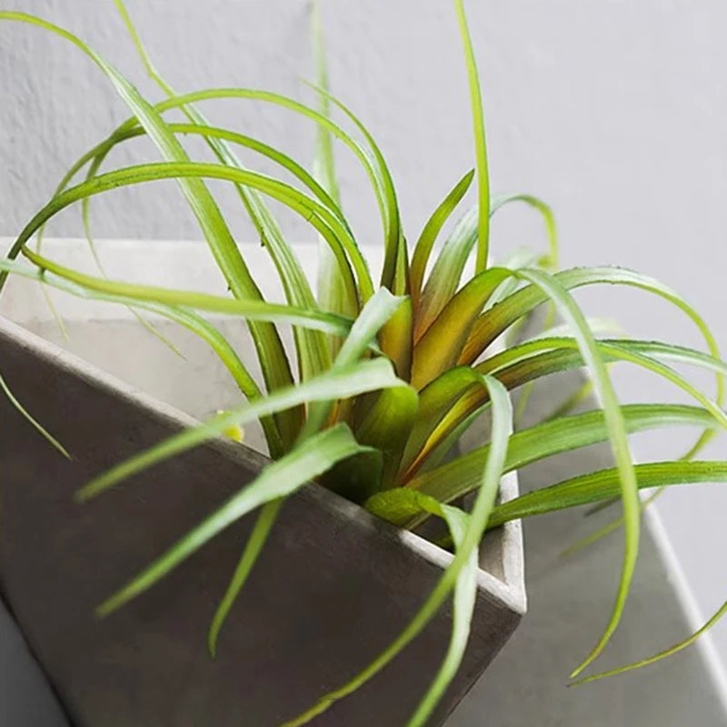 Modern Geometric Wall Planter