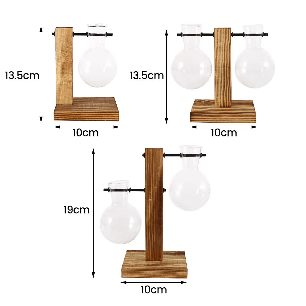 Charming Hydroponic Terrarium with Wooden Stand