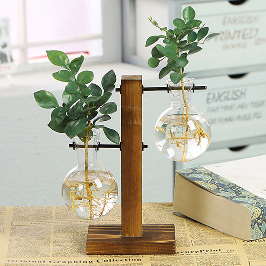 Charming Hydroponic Terrarium with Wooden Stand